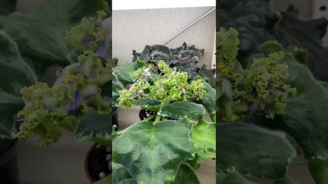 Обзорчики 1.04 часть 5 смотреть онлайн