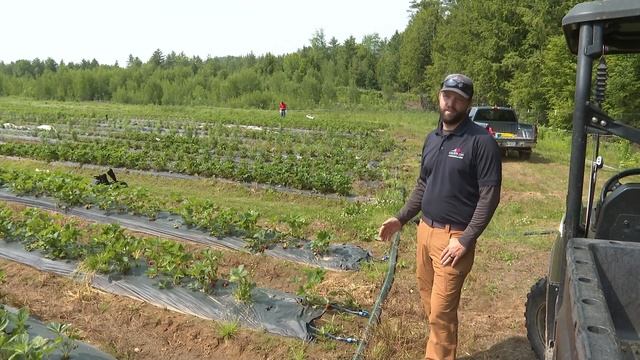 Wet June stalls early fruit season for some Maine farmers смотреть онлайн