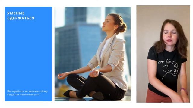 Контакт с собакой

Дрессировка собаки