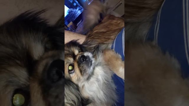 6 февраля 2024 г. смотреть онлайн