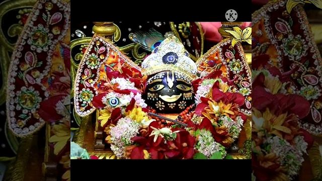 तुलसीमाता विवाह भजन//tulsi Bhajan// like subscribe share// смотреть онлайн