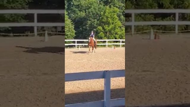 Katherine Siegelstein & Calypso HHV Intro B смотреть онлайн