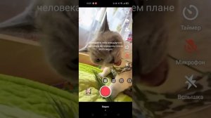 Как скачать видео из Тик ток без значка