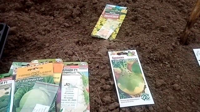 видео с теплицы, сеем капусту 15 марта смотреть онлайн