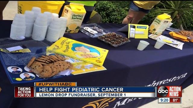 Lemonade stand inspires pediatric cancer fight смотреть онлайн