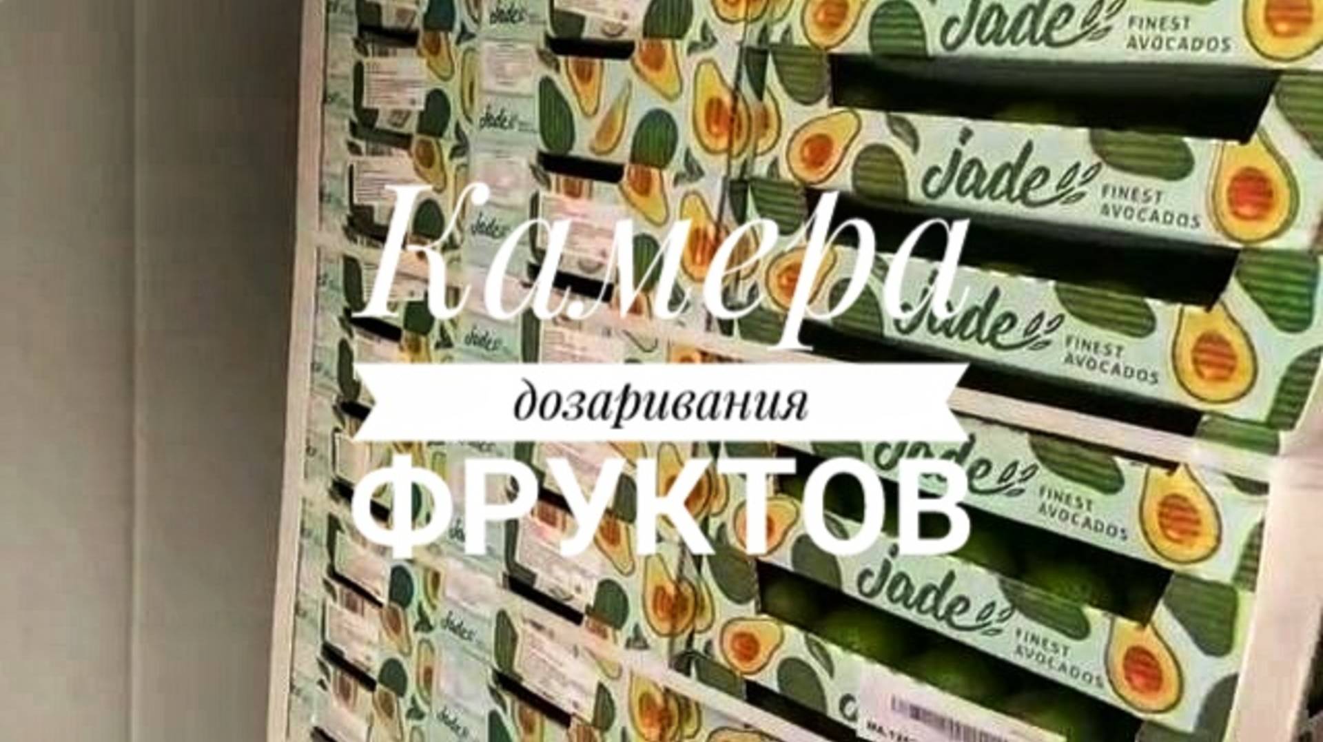 Камера дозаривания фруктов смотреть онлайн