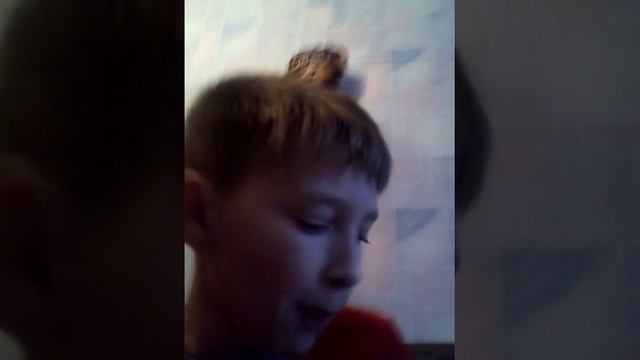 Радужный ГНОМ.ЛОЖЬ смотреть онлайн
