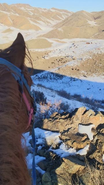 30 декабря 2022 г. смотреть онлайн