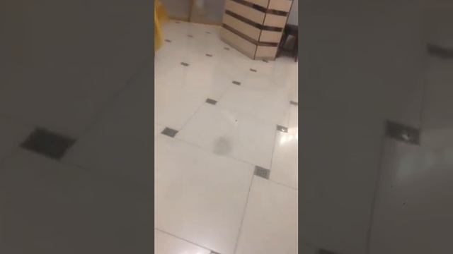 Naida     Год спустя