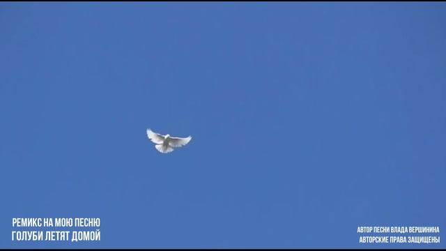 САМЫЕ ЧЕРСТВЫЕ СЕРДЦА ДРОГНУТ... смотреть онлайн