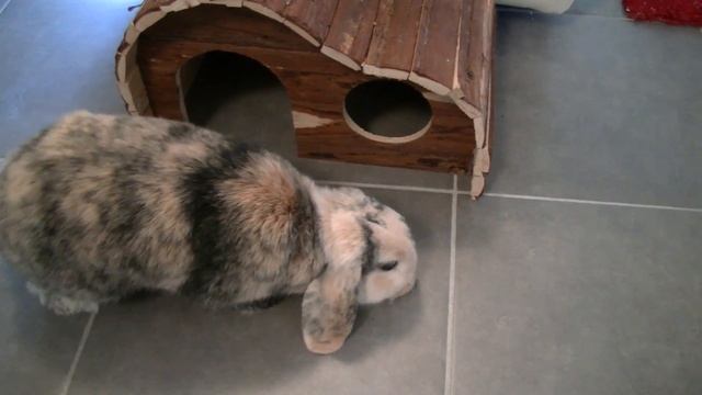 Drôle 2 Lapin : INSTAGRAM смотреть онлайн