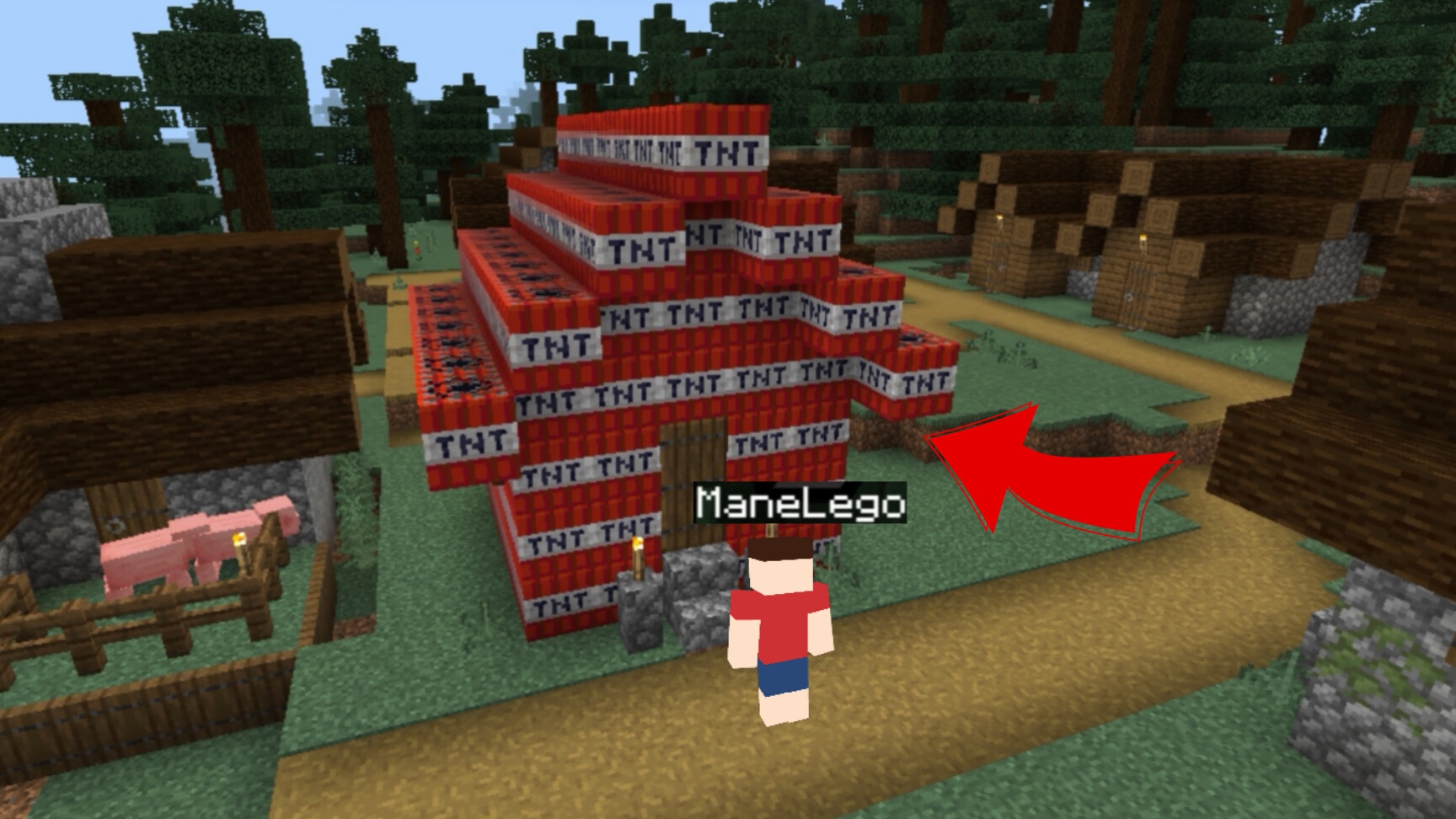 Мой дом стал из динамита в Майнкрафте | ManeLego minecraft