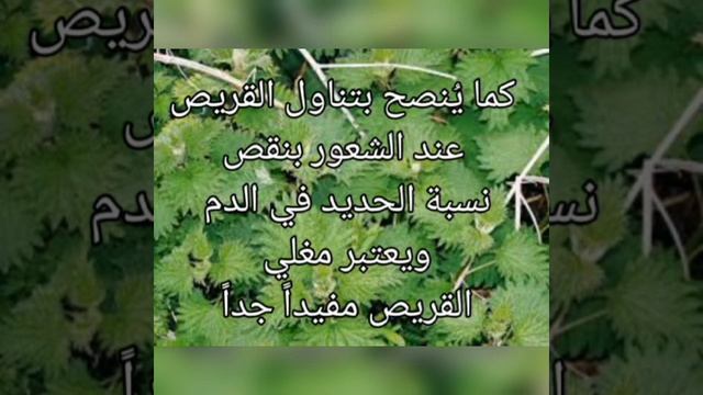 نبات بألف دواء لألف داء смотреть онлайн