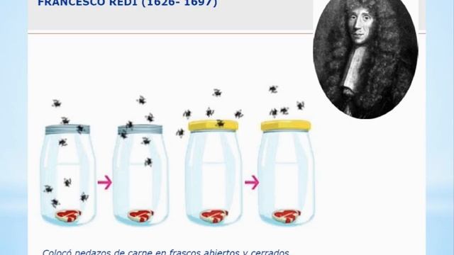 Microbiología - Clase Introductoria смотреть онлайн