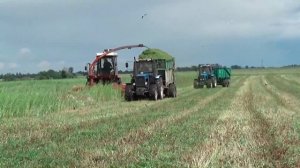 Трудовые будни сезона 2017 в СПК "Гигант"