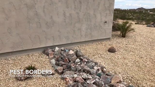 Scorpion Pest Control San Tan Valley safest and most effective смотреть онлайн