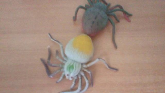 жизнь паука смотреть онлайн