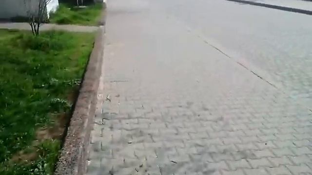 Красивые тюльпаны в центре Севастополя смотреть онлайн