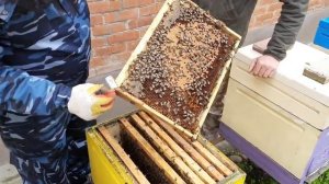 Лучше Качество чем Количество!!!