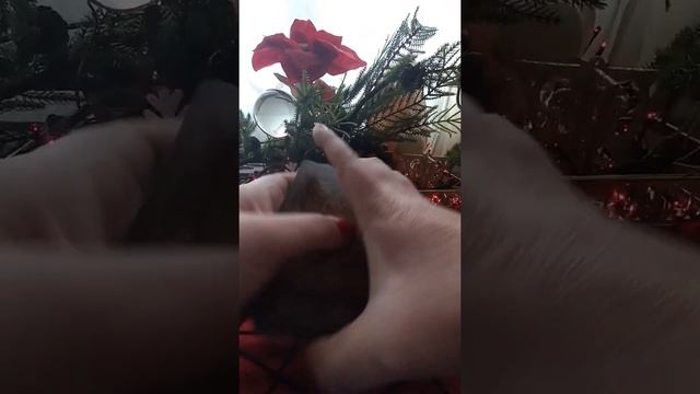 Желание🌲🙏🌲🙏🌲🙏🌲 смотреть онлайн