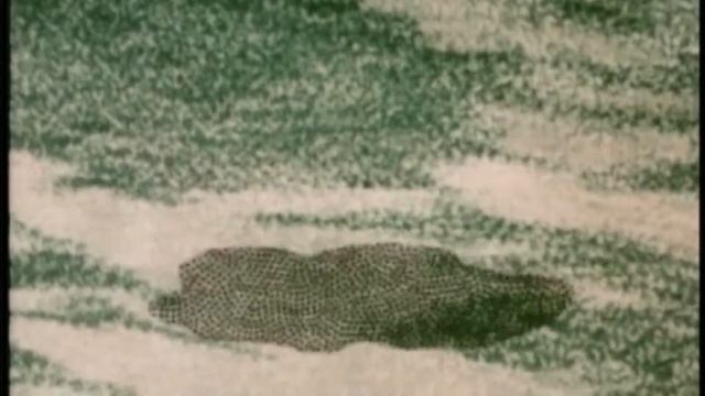 باباي الحشرة إصابة المنزل مترجم عربي Popeye Insect to injury смотреть онлайн