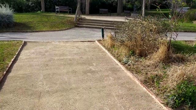 Парк Сервантеса зимой. смотреть онлайн