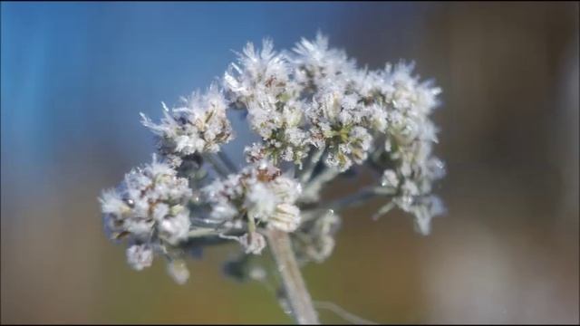 Иеромонах Роман. «Не разрывайте Истину на мнения...» смотреть онлайн