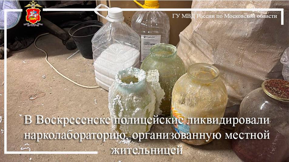 В Воскресенске полицейские ликвидировали нарколабораторию, организованную местной жительницей смотреть онлайн
