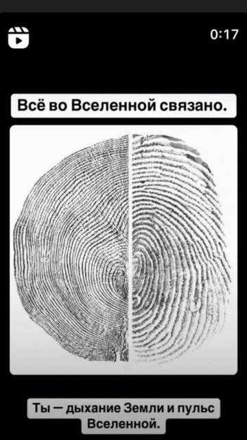 Всё во Вселенной связано смотреть онлайн