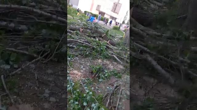 Галина Мельникова 20220601 200216 смотреть онлайн