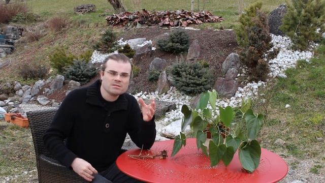 Écrire les noms scientifiques en botanique смотреть онлайн