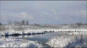 Иеромонах Роман. «Не утешаюсь тем, что вынужден оставить…»