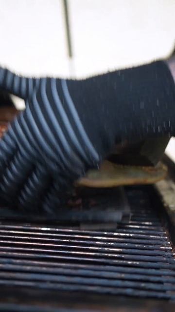 How to cook Alligator 🐊 on the GMG Big Pig 🐷 #gator #southerncooking #pelletgrill #bbq смотреть онлайн