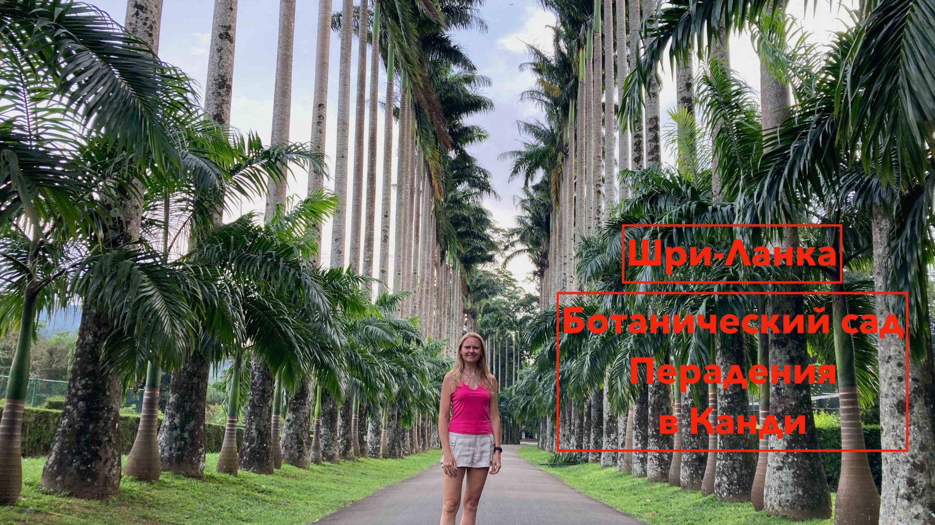 Шри-Ланка. Ботанический сад Перадения в Канди. Стоит ли туда ехать.