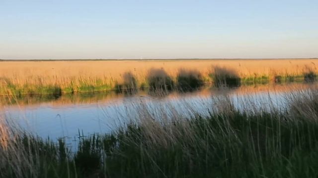 Neįtikėtinas Reginys Upės Pakrantėje! Medžiotojos Dienoraštis #15