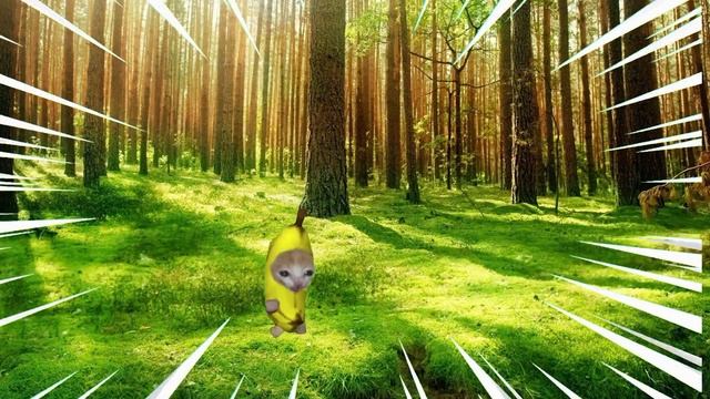 Apple cats evil plan | Banana cat series | EP 4 смотреть онлайн