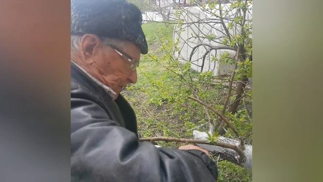 Первые плоды мастер класса от Юрия Бурого. смотреть онлайн