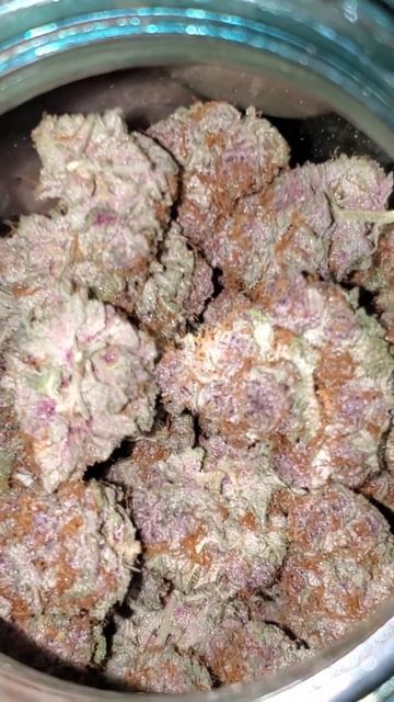 roi e720 ac infinity canna coco tropcherry curing in jar 💪💪💪 смотреть онлайн