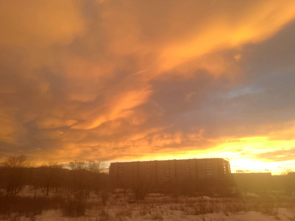 разговор куда идти лучше