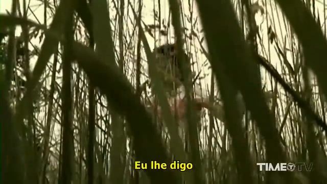 Erika De Bonis - Ditto (Official Video)