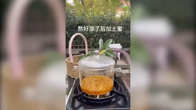 Osmanthus Sauce смотреть онлайн