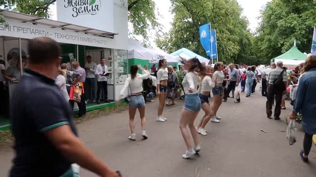 БТУ - Центр на "Агро-2018"! смотреть онлайн