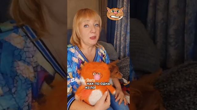 🐱 Знакомьтесь, кот ЧИПИ с Детской планеты 🐱 смотреть онлайн