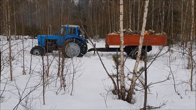 MTZ 52L Turbo In A Forest