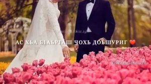 Хьа ши б1аьрг суна гале дуьйна.🥰❤