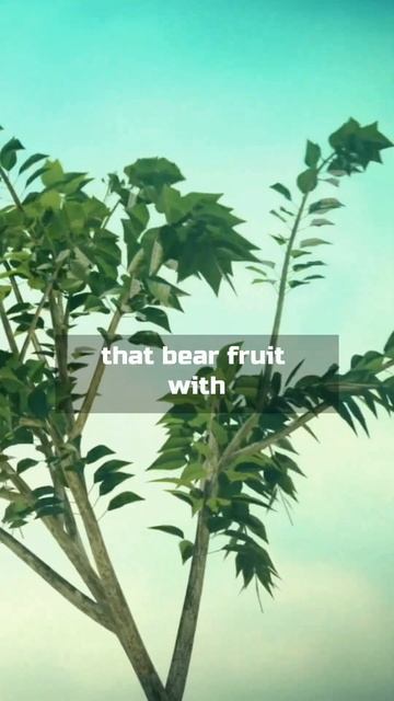 Discover the Power of the Almighty Creator: The God of Seed Time is with You to The Harvest. #short смотреть онлайн