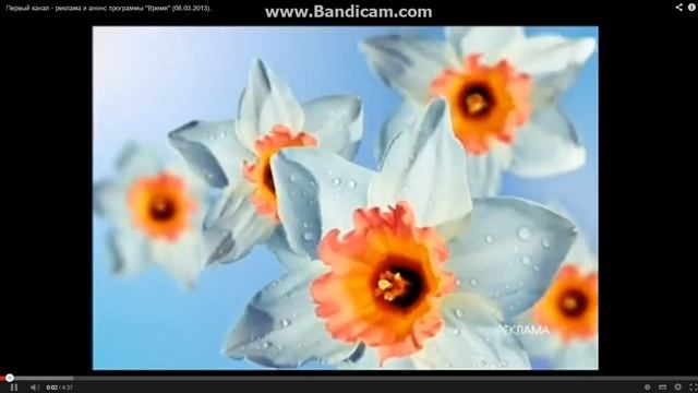 Заставка рекламы (Первый канал, март 2013)Ромашки смотреть онлайн