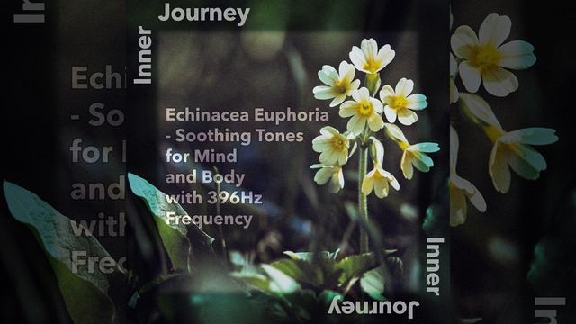 Sound of Improvement - 396 Hz Healing Tone смотреть онлайн