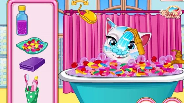 Кошка Анжела Получает Диплом / Angela Cat Gets Diploma