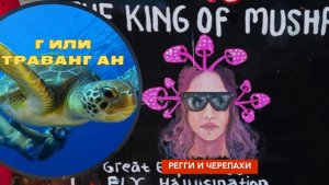 БАЛИ|ГИЛИ Траванган|Самый кайфовый остров